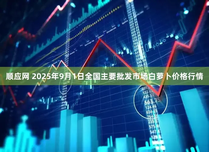 顺应网 2025年9月1日全国主要批发市场白萝卜价格行情
