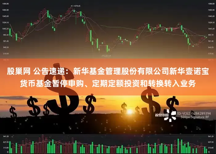 股巢网 公告速递：新华基金管理股份有限公司新华壹诺宝货币基金暂停申购、定期定额投资和转换转入业务